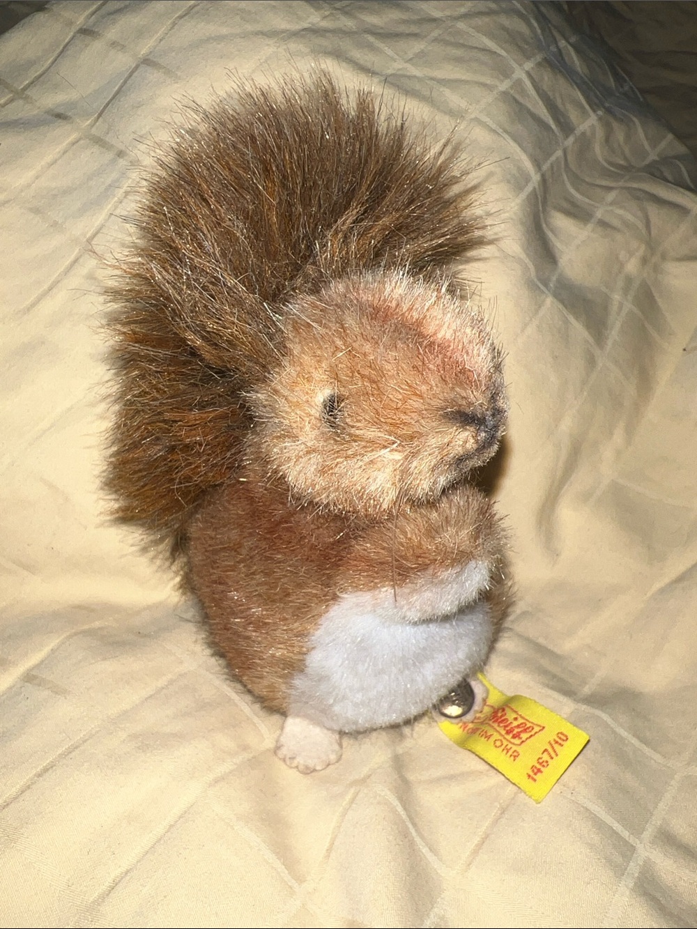 Steiff Squirrel - Picture 2 of 14